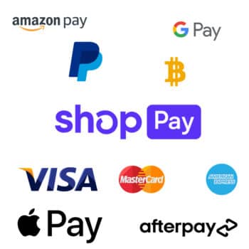 best payment processors for Shopify